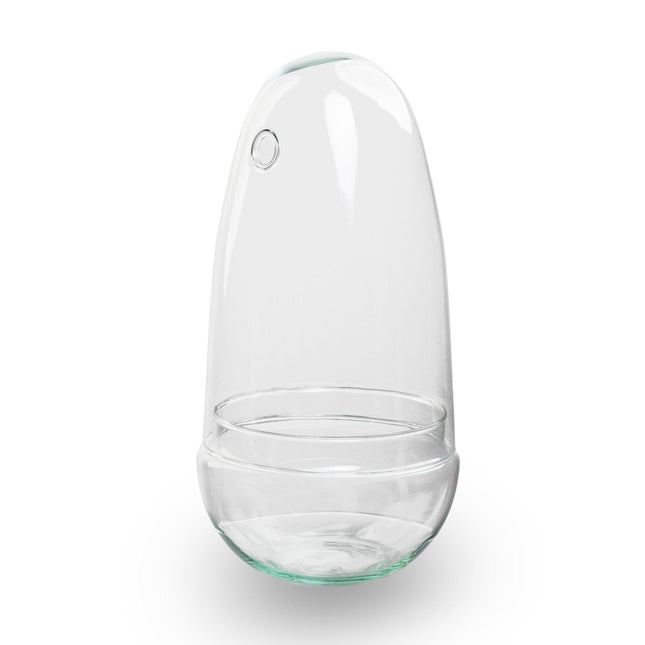 Flaschengarten Ei – Terrarium – Recyceltes Glas – ↑26cm x Ø12cm – DIY Pflanzenglas für Mini – Dschungel & Dekoration