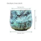 ↨39cm・⌀44cm・Sorte 'Mystic Green'