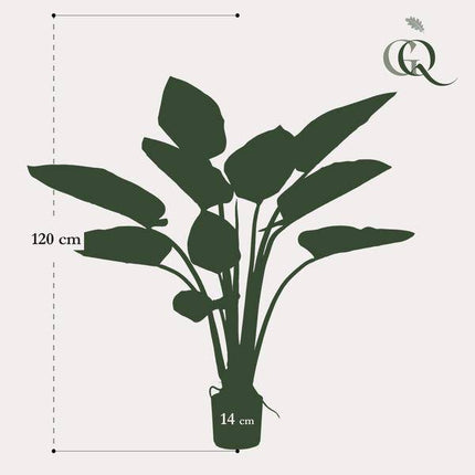 Kunstpflanze Philodendron – 120cm – Hochwertige künstliche Pflanze mit naturgetreuen großen Blättern – Immergrüne Dekopflanze für Wohnzimmer, Büro & Innenräume – Pflegefrei & langlebig