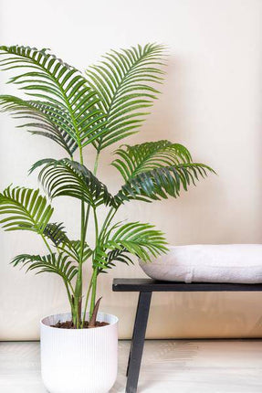 Kunstpflanze Howea Forsteriana – Paradiespalme – 140cm – Hochwertige künstliche Palme mit naturgetreuen Wedeln – Immergrüne Dekopflanze für Wohnzimmer, Wintergarten & Büro – Pflegefrei & langlebig