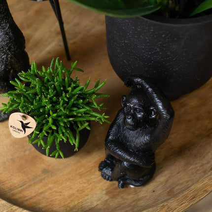 Ornament Sitzender Affe – Schwarz – Dekofigur aus Polystone – 13cm hoch – Handgefertigte Skulptur – Für Zimmerpflanzen & Interieur – Dekoration Wohnzimmer