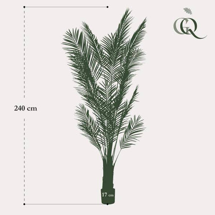 Areca Lutescens Goldpalme – Künstliche Zimmerpflanze – Tropische Palme 240 cm – pflegeleichte Dekoration für Wohnzimmer, Büro & Innenräume