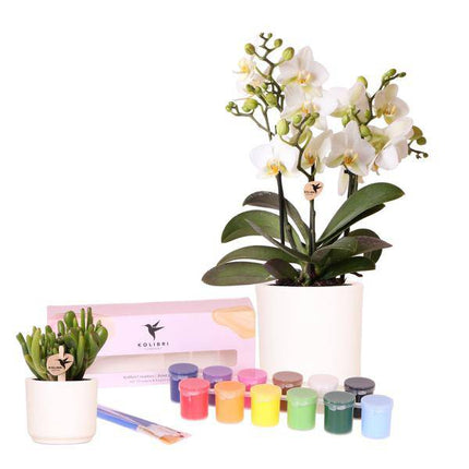 Malset Blumentöpfe bemalen mit Orchideen & Sukkulenten – DIY Kreativset für mindestens 4 Personen – Bastelset für Kinder & Erwachsene