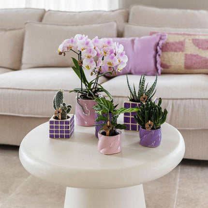 Dekotopf Candy – Rosa – Ø9cm – Keramik Blumentopf in glänzender Optik – Runde Form – Für Orchideen, Sukkulenten & Zimmerpflanzen