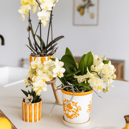 Malaga Blumentopf Orange Ø9cm – Dekorativer Keramiktopf in sommerlichem Design – Pflanzentopf für Zimmerpflanzen & Kräuter – Stilvolle Blumendeko für Wohnzimmer, Küche & Büro