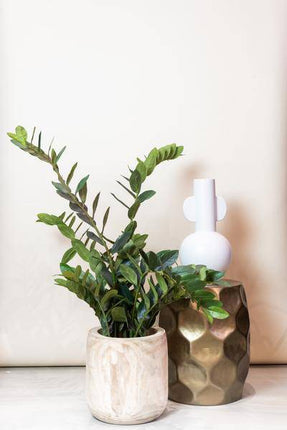 Kunstpflanze Zamioculcas – Zimmerpalme – 110cm – Hochwertige künstliche Pflanze mit naturgetreuen ovalen Blättern – Immergrüne Dekopflanze für Wohnzimmer, Büro & Flur – Pflegefrei & langlebig