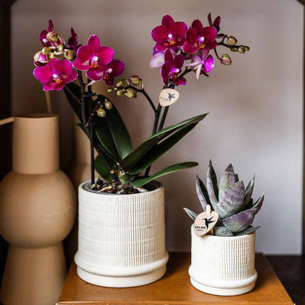 Bali Blumentopf Off White Ø9cm – Dekorativer Keramiktopf mit Rillenstruktur – Moderner Pflanzentopf im minimalistischen Design – Stilvolle Blumendeko für Wohnzimmer, Küche & Büro