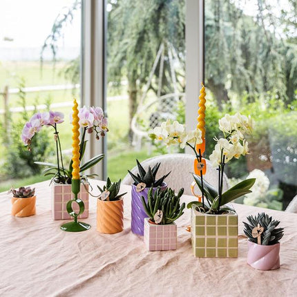 Candy Dekotopf Pfirsich – Ø6cm – Keramik Übertopf in Pastellfarbe – Stilvoller Blumentopf für Zimmerpflanzen & Orchideen – Fröhlicher Pflanzentopf