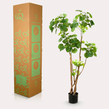 Kunstpflanze Polyscias Aralia ↕135cm – künstliche Grünpflanze für Wohnzimmer, Büro, Flur & pflegeleichte Deko