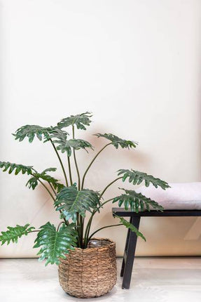 Kunstpflanze Philodendron – 105cm – Hochwertige künstliche Pflanze mit naturgetreuen großen Blättern – Immergrüne Dekopflanze für Wohnzimmer, Büro & Innenräume – Pflegefrei & langlebig