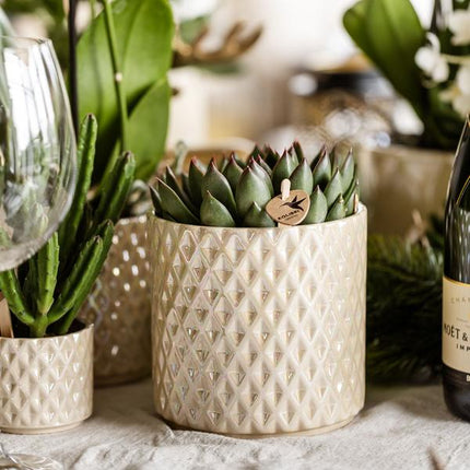 Diamant Perlen Dekotopf – Travertin – Ø9cm – Moderner Blumentopf in Steinoptik – Eleganter Dekotopf für Zimmerpflanzen, Kakteen & Sukkulenten – Stilvolles Wohnaccessoire