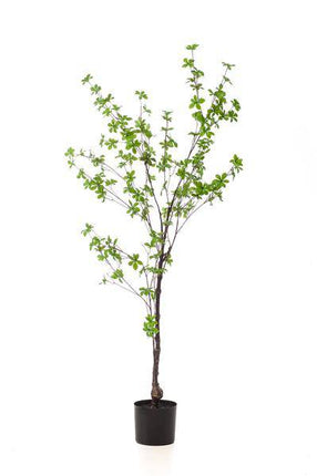 Kunstpflanze Tropaeolum Speciosum – Ostindische Kirsche – 150cm – Hochwertige künstliche Pflanze mit naturgetreuen Blättern – Immergrüne Dekopflanze für Wohnzimmer, Wintergarten & Büro – Pflegefrei & langlebig