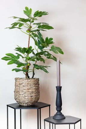 Kunstpflanze Ficus Carica – Feigenbaum 95cm – Täuschend echt mit Früchten & Blättern – Pflegefreie Zimmerpflanze – Mediterrane Deko für Wohnung & Büro