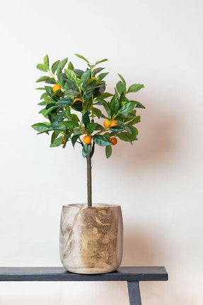 Kunstpflanze Citrus Sinensis – Orangenbaum – 75cm – Hochwertiger künstlicher Baum mit naturgetreuen Blättern & realistischen Früchten – Immergrüne Dekopflanze für Wohnzimmer, Wintergarten & Büro – Pflegefrei & allergikerfreundlich