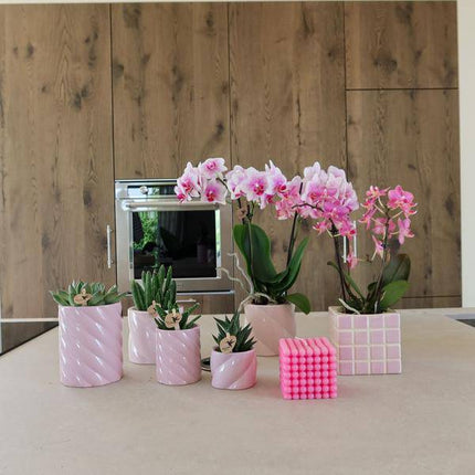 Candy Dekotopf – Hoch – Rosa – Ø6cm – Keramik Übertopf in Pastellrosa – Stilvoller Blumentopf für Zimmerpflanzen & Orchideen