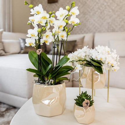 Pearl Blumentopf glänzend in Blau, Grün, Rosa oder Travertin – Eleganter Übertopf Ø6cm Ø9cm Ø12cm – Pflanzgefäß für Zimmerpflanzen & Deko