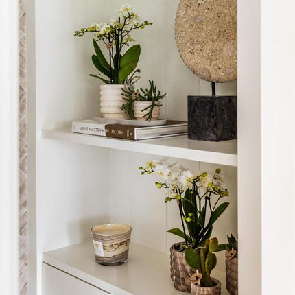 Dekotopf Marmor – Hell – Ø6cm – Eleganter Keramik Blumentopf in Marmoroptik – Zeitloses Design – Für Mini-Pflanzen, Sukkulenten & Kakteen