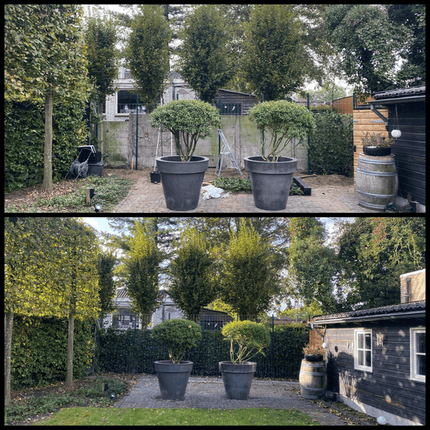 Metallstange mit Deckel – 260cm Pfosten für Heckenverlängerung – stabiler Metallpfahl für Zaun, Rankhilfe & Gartengestaltung