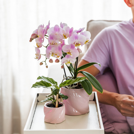 Dekotopf Candy – Rosa – Ø9cm – Keramik Blumentopf in glänzender Optik – Runde Form – Für Orchideen, Sukkulenten & Zimmerpflanzen