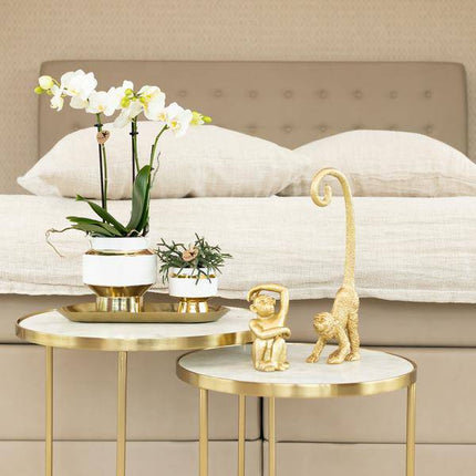 Ovales Tablett – Gold – Metalltablett 30x13cm – Dekoteller für Pflanzen, Töpfe & Wohnaccessoires – Stilvolle Ablage für Orchideen & Deko – Sets