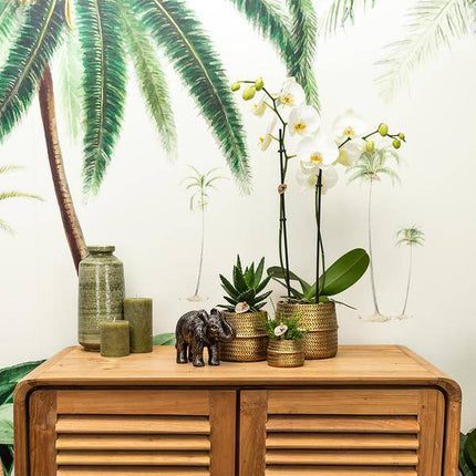 Blumentopf Rille – Gold – Ø6cm – Kleiner Keramik-Ziertopf mit Rillenstruktur – Mattes Finish – Mini-Übertopf für Orchideen & Sukkulenten