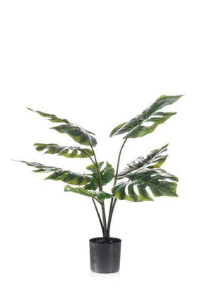 Kunstpflanze Monstera Deliciosa ↕65cm – künstliche Grünpflanze für Wohnzimmer, Büro, Flur & pflegeleichte Deko