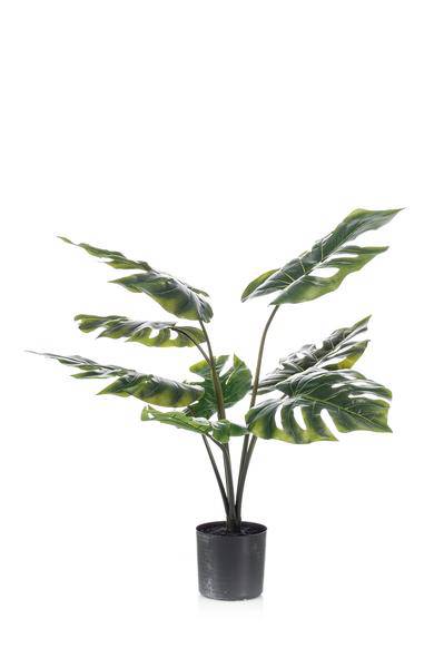 Kunstpflanze Monstera Deliciosa ↕65cm – künstliche Grünpflanze für Wohnzimmer, Büro, Flur & pflegeleichte Deko
