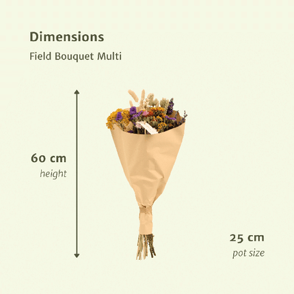 Trockenblumen – Feldblumenstrauß Multi – Bunter Trockenstrauß – ca. Ø25cm ↕60cm – Naturdeko für Innen – Langlebig & Pflegeleicht – Geschenkidee
