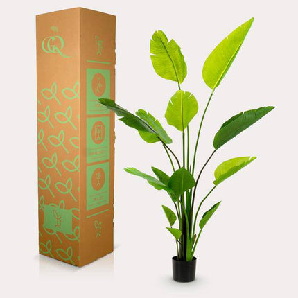 Kunstpflanze Strelitzia Nicolai – Paradiesvogelblume – 150cm – Hochwertige künstliche Pflanze mit großen naturgetreuen Blättern – Immergrüne Dekopflanze für Wohnzimmer, Büro & Innenräume – Pflegefrei & langlebig