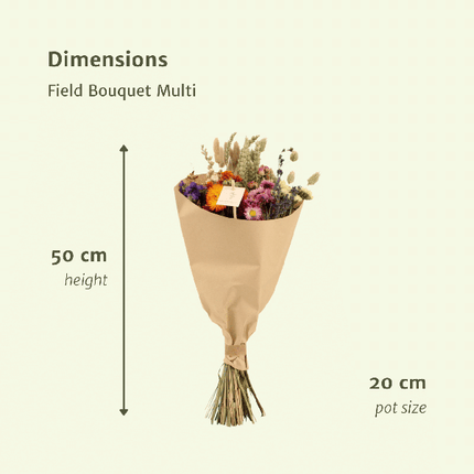 Trockenblumen Feldblumenstrauß Multi – Blumenstrauß – Ø20cm x ↕50cm – Bunte Mischung – Rustikale Deko – Pflegefrei – Für Innen & Außen