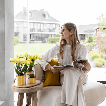 Ziertopf Painted Stripe – Gelb – Ø6cm – Moderner Keramiktopf mit Streifenmuster – Pflanzentopf für Sukkulenten, Kakteen & kleine Zimmerpflanzen – Mediterranes Wohnaccessoire