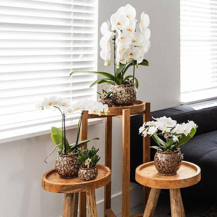 Blumentopf Safari – Ø9cm – Handgefertigter Keramik Pflanztopf – Dekorativer Übertopf für kleine Zimmerpflanzen – Stilvolle Innendeko