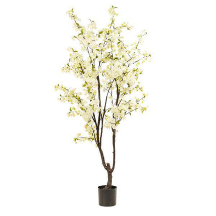 Künstliche Kirschblüte Prunus – Weiß – ca. 210cm hoch – Realistische Deko-Kunstpflanze – Wartungsfrei – Für Wohnzimmer, Büro & Eingangsbereich
