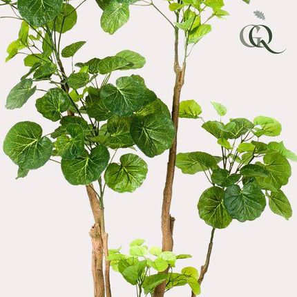 Kunstpflanze Polyscias Aralia ↕135cm – künstliche Grünpflanze für Wohnzimmer, Büro, Flur & pflegeleichte Deko