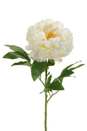 Künstliche Blumenstrauß Pfingstrosen Creme – 5 Stück je 65cm – Realistische Kunstblumen – Zeitloser Deko Blumenstrauß