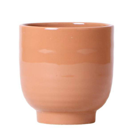 Glasierter Blumentopf Cognac Zimmerpflanze Ø12cm – blühende Orchidee für Wohnzimmer, Büro & helle Standorte kaufen