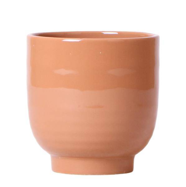 Glasierter Blumentopf Cognac Zimmerpflanze Ø12cm – blühende Orchidee für Wohnzimmer, Büro & helle Standorte kaufen