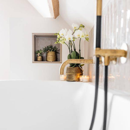 Weiße Phalaenopsis Orchidee Juwel Gent – 2–3 Zweige – Ø12cm Groove Ziertopf – Silberner Rillen-Topf – Elegante blühende Zimmerpflanze – 40cm hoch