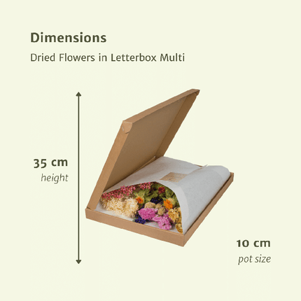 Trockenblumen im Briefkasten – Letterbox Multi – Trockenstrauß in Weiß, Beige & Hellrosa – Elegante Deko – Pflegefrei – Perfekt für Innenräume