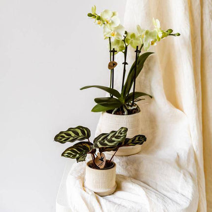 Bali Blumentopf Off White Ø9cm – Dekorativer Keramiktopf mit Rillenstruktur – Moderner Pflanzentopf im minimalistischen Design – Stilvolle Blumendeko für Wohnzimmer, Küche & Büro