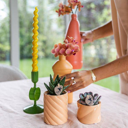 Candy Dekotopf Pfirsich – Ø6cm – Keramik Übertopf in Pastellfarbe – Stilvoller Blumentopf für Zimmerpflanzen & Orchideen – Fröhlicher Pflanzentopf