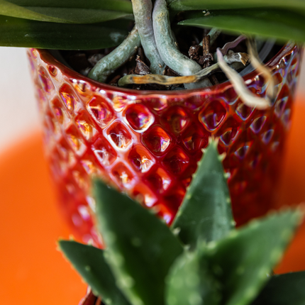 Diamant Perle Dekotopf – Rot – Ø9cm – Keramik Übertopf aus der Colourful Optimism Kollektion