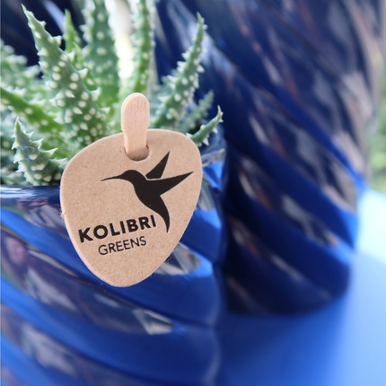 Candy Dekotopf – Hoch – Blau – Ø9cm – Moderner Keramiktopf in kräftigen Farben – Stilvoller Pflanzentopf für Zimmerpflanzen, Orchideen & Sukkulenten