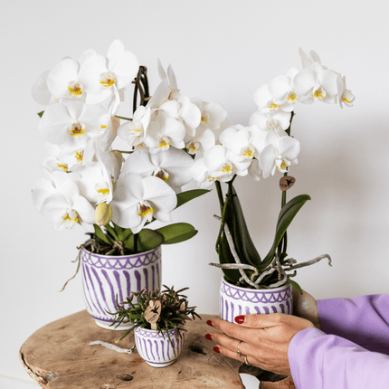 Topf Granada Flieder – Ø9cm – Keramik Blumentopf im mediterranen Stil – Hochglänzender Dekotopf für Zimmerpflanzen, Sukkulenten & Kräuter – Robust & pflegeleicht