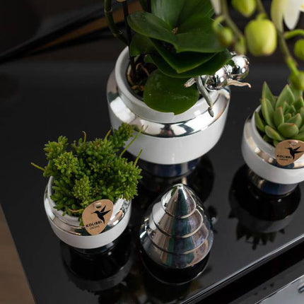 Le Chic Blumentopf Weiß mit silbernen Details – Dekorativer Keramiktopf Ø9cm – Eleganter Ziertopf für Orchideen & Grünpflanzen