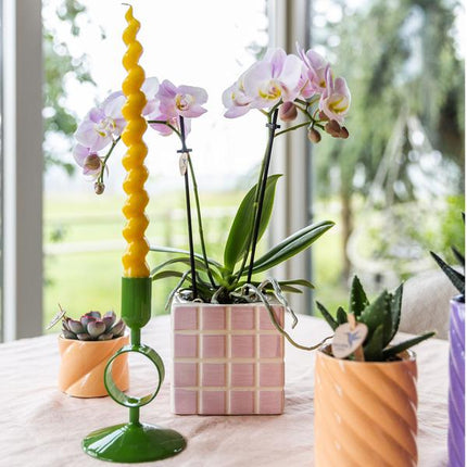 Candy Dekotopf Pfirsich – Ø6cm – Keramik Übertopf in Pastellfarbe – Stilvoller Blumentopf für Zimmerpflanzen & Orchideen – Fröhlicher Pflanzentopf