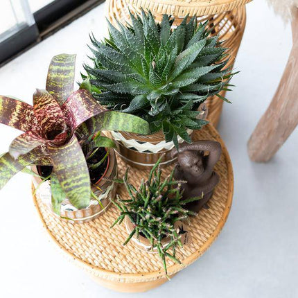 Ornament Dekoskulptur Sitzender Affe – Braun – Handgefertigte Polystone – Figur – 13cm – Dekoration für Zuhause & Pflanzenarrangements