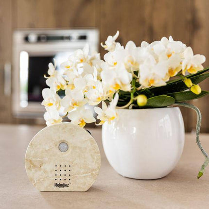 Melodiez Spieluhr Naturstein – Melody Nature Box – Klangbox mit Bewegungsmelder – Vogelgesang, Meeresrauschen & Dschungelklänge – Entspannung & Geschenkidee