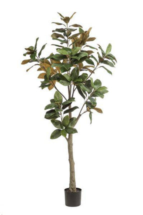 Kunstpflanze Magnolia Grandiflora – 180cm – Hochwertiger künstlicher Baum mit naturgetreuen Blättern & echtem Holzstamm – Immergrüne Dekopflanze für Wohnzimmer, Büro & Wintergarten – Pflegefrei & langlebig