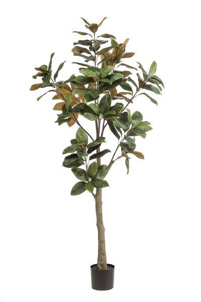 Kunstpflanze Magnolia Grandiflora – 180cm – Hochwertiger künstlicher Baum mit naturgetreuen Blättern & echtem Holzstamm – Immergrüne Dekopflanze für Wohnzimmer, Büro & Wintergarten – Pflegefrei & langlebig
